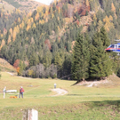 normal_281011tennengebirge2gmaktivnews32.JPG