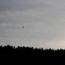 normal_28102011absturzparaffaktivnews_20.jpg