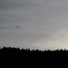 normal_28102011absturzparaffaktivnews_22.jpg