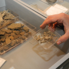 DSCN0546_JPG-1319870203