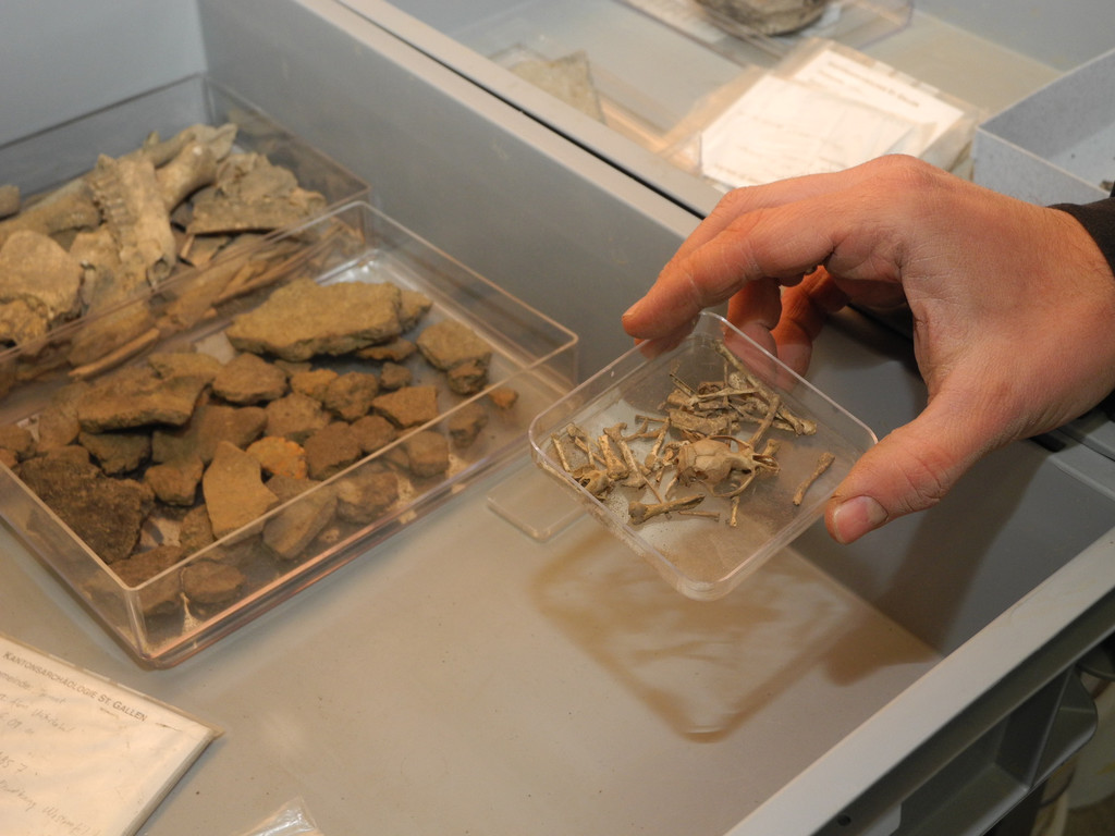 DSCN0546_JPG-1319870203