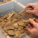 DSCN0548_JPG-1319870215