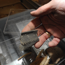 DSCN0551_JPG-1319870255