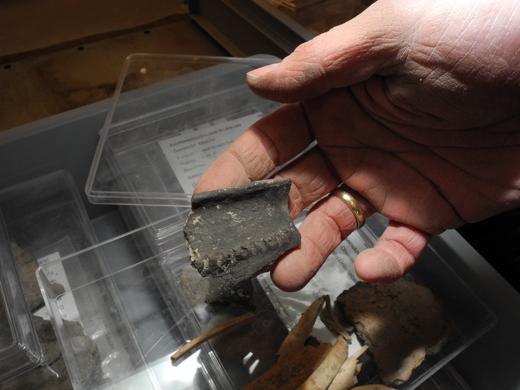 DSCN0551_JPG-1319870255