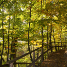 DSC05978.JPG