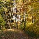 DSC05997.JPG