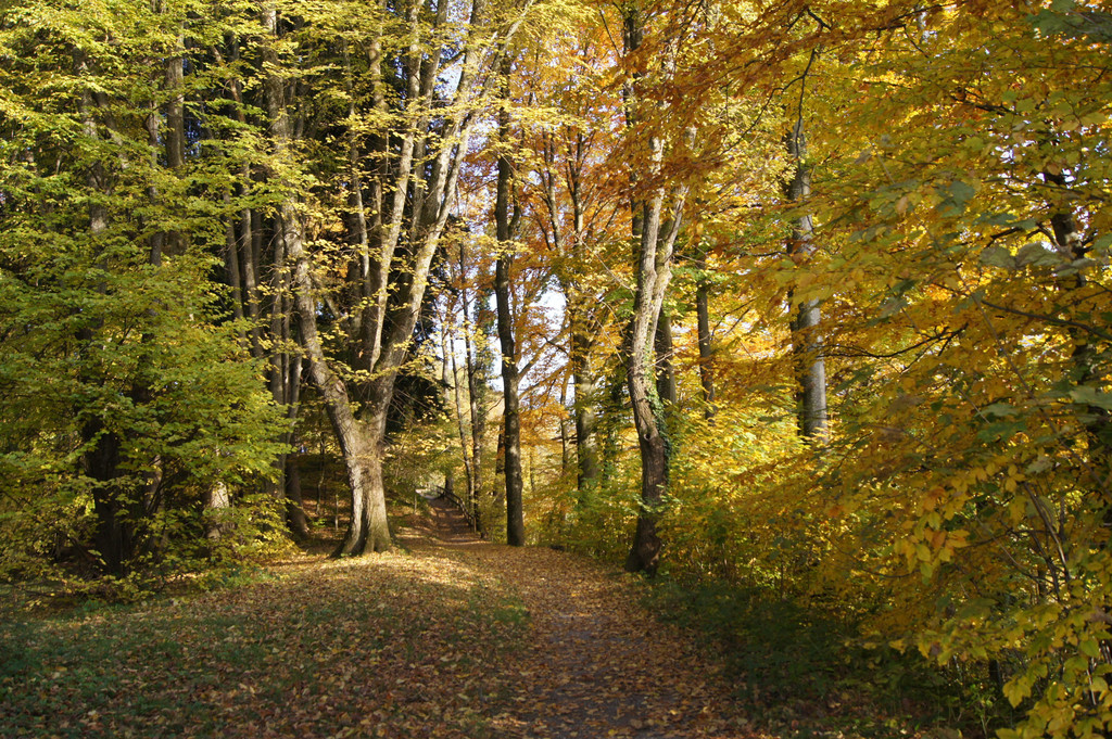 DSC05997.JPG