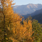 DSC06021.JPG