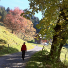 KOE_Wandertipp Alpwegkopfhaus 6_jpg-1319969714