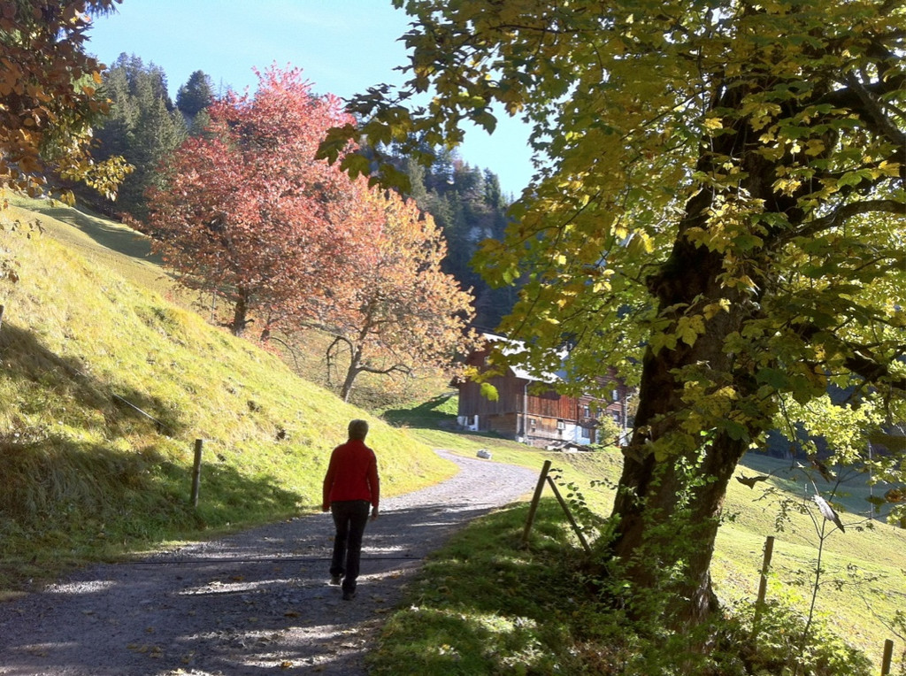 KOE_Wandertipp Alpwegkopfhaus 6_jpg-1319969714