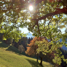 KOE_Wandertipp Alpwegkopfhaus 8_jpg-1319969734