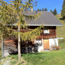 KOE_Wandertipp Alpwegkopfhaus 11_jpg-1319969765