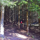 KOE_Wandertipp Alpwegkopfhaus 16_jpg-1319969812