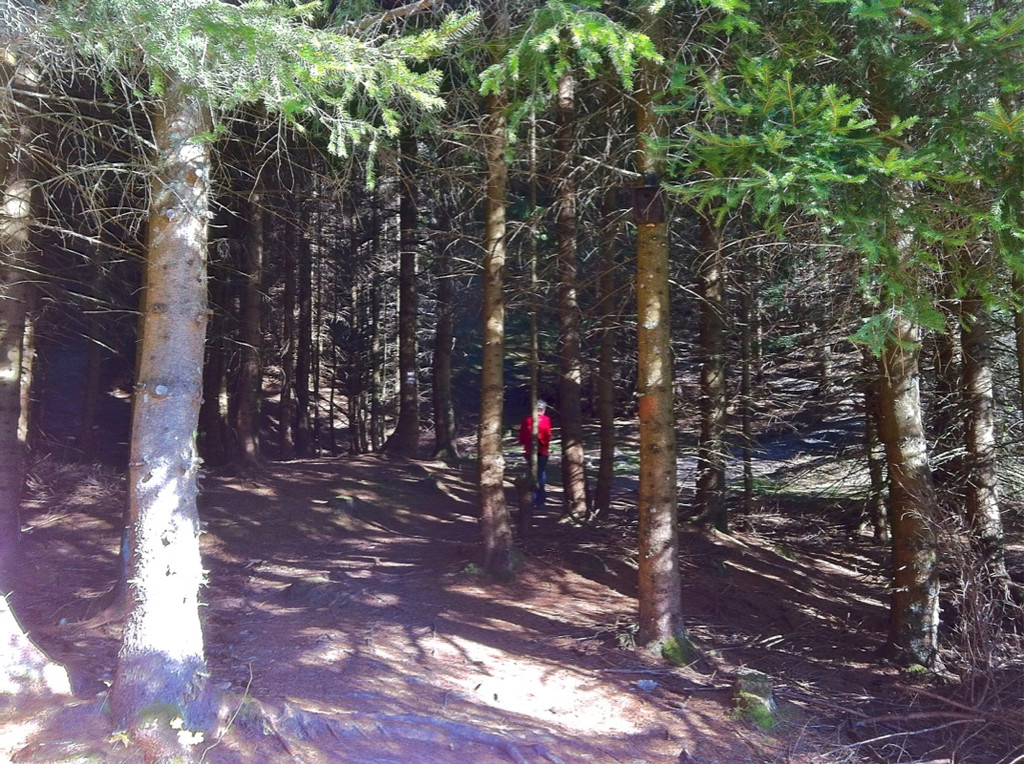 KOE_Wandertipp Alpwegkopfhaus 16_jpg-1319969812