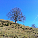 KOE_Wandertipp Alpwegkopfhaus 17_jpg-1319969821