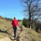 KOE_Wandertipp Alpwegkopfhaus 19_jpg-1319969840