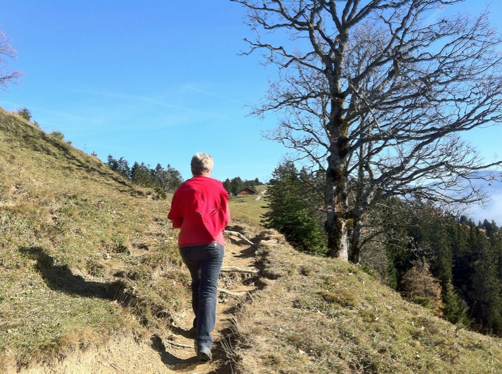 KOE_Wandertipp Alpwegkopfhaus 19_jpg-1319969840