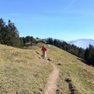 KOE_Wandertipp Alpwegkopfhaus 20_jpg-1319969848