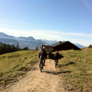 KOE_Wandertipp Alpwegkopfhaus 24_jpg-1319969880