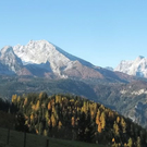 normal_31102011herbstffaktivnews_001.jpg