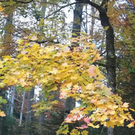 normal_31102011herbstffaktivnews_038.jpg