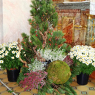 DSC04590_JPG-1320044188