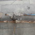 DSCN0578_JPG-1320046713