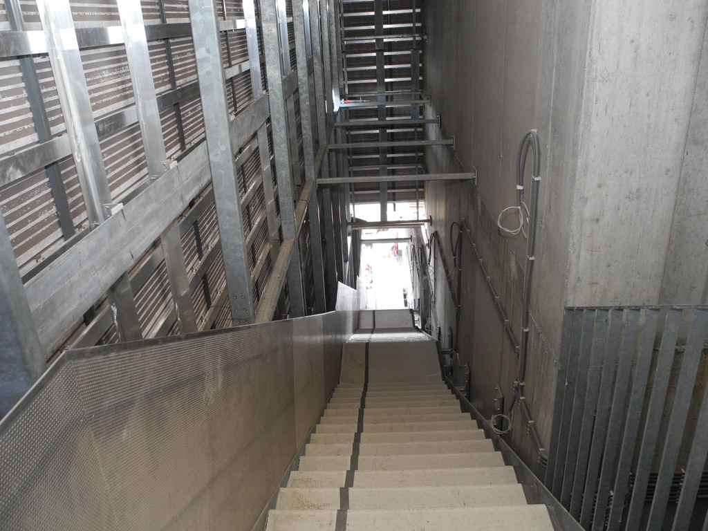 DSCN0601_JPG-1320046936