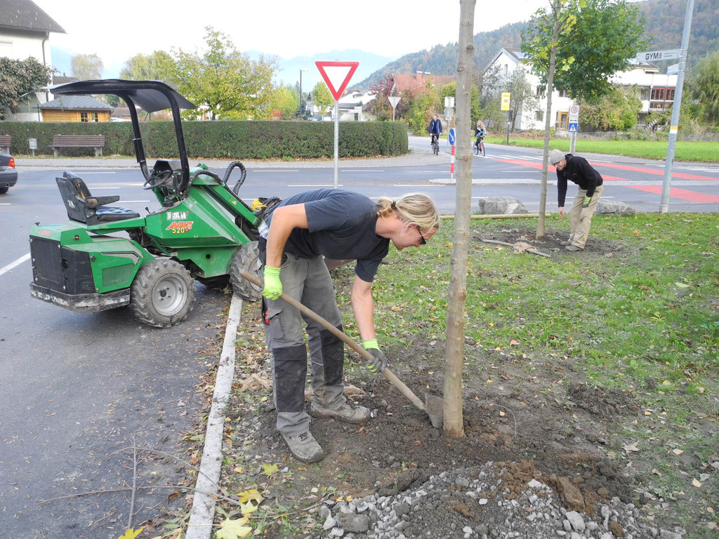 DSCN0613_JPG-1320047069