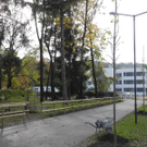 DSCN0614_JPG-1320047082