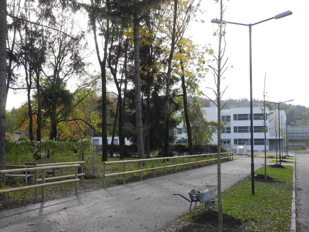 DSCN0614_JPG-1320047082