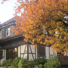 Bezauberndes Farbenspiel