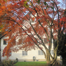 IMG_0942_JPG-1320049620