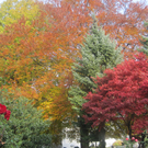 IMG_0933_JPG-1320050611