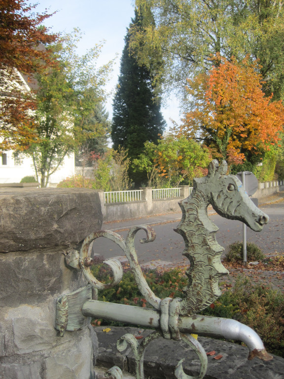 IMG_0935_JPG-1320050716