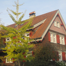 IMG_0939_JPG-1320050892