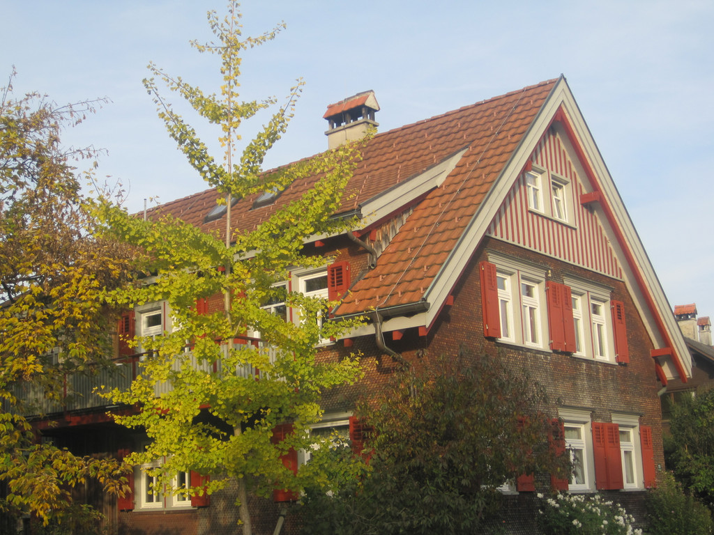 IMG_0939_JPG-1320050892