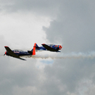 DSC_0444.jpg