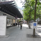 DSCN6255_JPG-1320051093