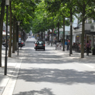 DSCN6256_JPG-1320051105