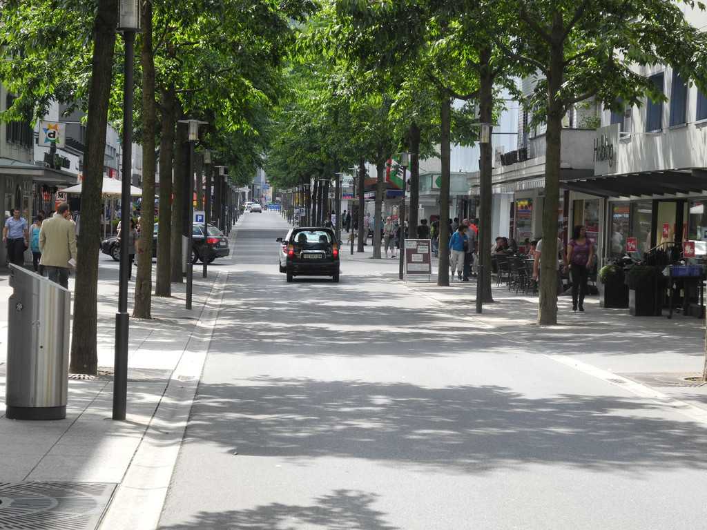 DSCN6256_JPG-1320051105