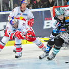 30102011eishockeymbaktivnews067.JPG