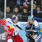 30102011eishockeymbaktivnews098.JPG