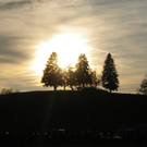 016_JPG-1320053346