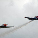 DSC_0451.jpg