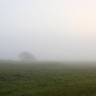 normal_31102011nebelwm2aktivnews_03.JPG