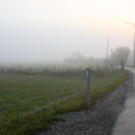 normal_31102011nebelwm2aktivnews_04.JPG