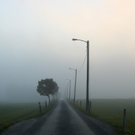 normal_31102011nebelwm2aktivnews_05.JPG