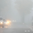 normal_31102011nebelwm2aktivnews_07.JPG