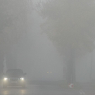 normal_31102011nebelwm2aktivnews_08.JPG